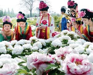 第30届中国洛阳牡丹文化节项目签约 总投资超千亿
