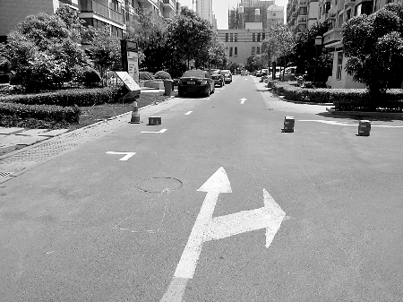 郑州部分小区公共绿地道路变收费停车场 居民不满