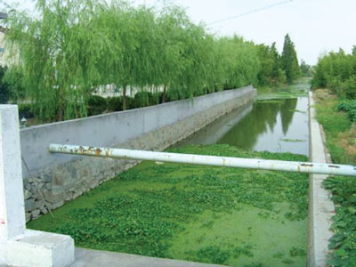 河南省将投资6亿资金促进农村环境连片治理