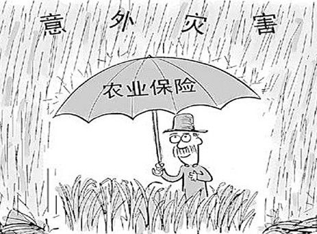 上半年河南农业保险健康发展