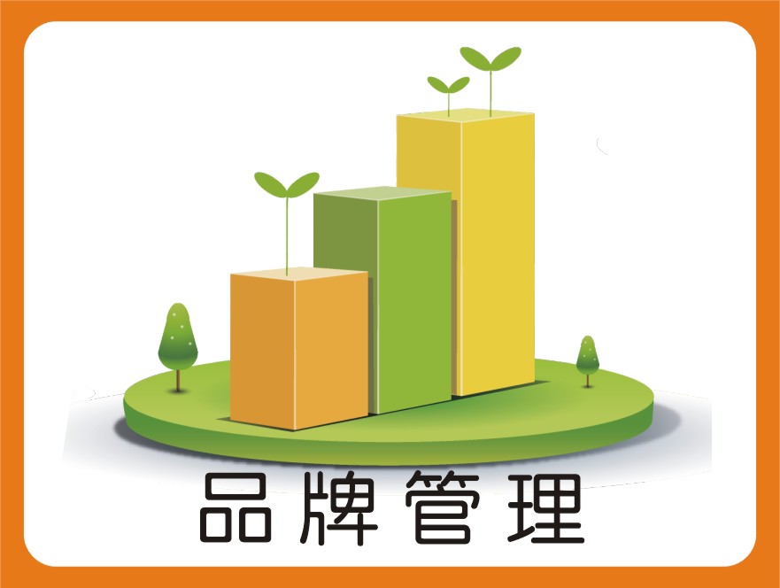 从传统品牌管理到品牌战略管理的革命