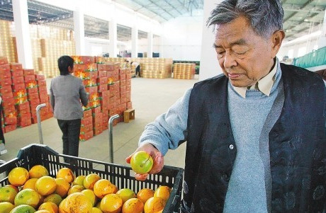 引爆点：褚橙是如何做电商营销的？