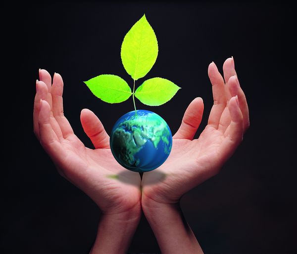 麦肯锡:电子商务将成为中国主要消费潮流