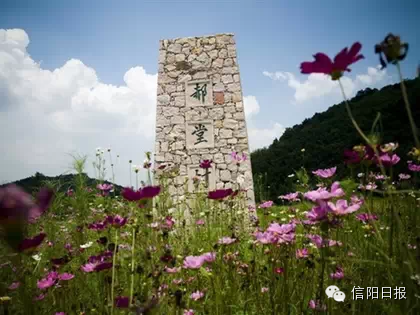 中和农业基地-郝堂村-被评为中国最美休闲乡村