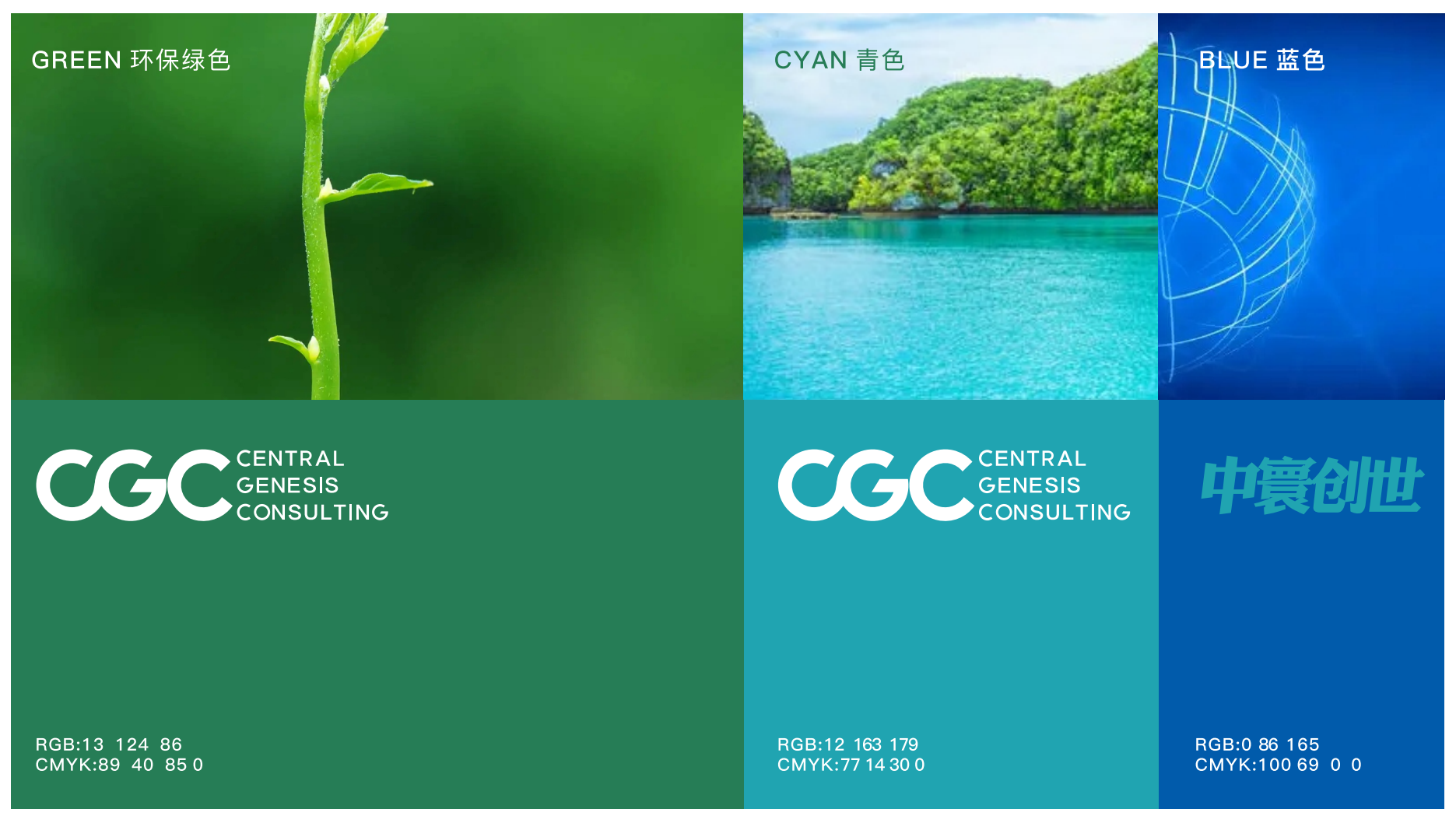 中寰创世（CGC）战略咨询 CENTRAL GENESIS CONSULTING 河南本土化实效营销战略伙伴｜中国企业可持续增长智慧引擎